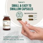 NutraMushroom - Comprehensive Mushroom Complex, with 6000mg of Shiitake, Maitake, Reishi, Chaga, Cordyceps and Lion’s Mane - with Added Vitamin C, D & Zinc - NutraVit, 30 Capsules - Image 7