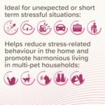 Beaphar - CatComfort® Calming Spot-On - Reduces Anxiety & Stress - Fast-Acting - Starts to Work in 15 Minutes - Ideal for Short-Term Events like Fireworks - Promotes Bonding - 3 Pipettes - Image 6