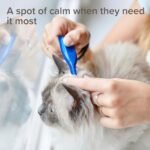 Beaphar - CatComfort® Calming Spot-On - Reduces Anxiety & Stress - Fast-Acting - Starts to Work in 15 Minutes - Ideal for Short-Term Events like Fireworks - Promotes Bonding - 3 Pipettes - Image 8