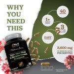 Irish Sea Moss & Bladderwrack Complex 7200mg - 120 High Strength Capsules - Rich in Iodine - Natural Source of 92 Vitamins & Minerals - Wild Harvested Vegan Seamoss - Made in The UK - Nu U Nutrition - Image 4