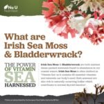 Irish Sea Moss & Bladderwrack Complex 7200mg - 120 High Strength Capsules - Rich in Iodine - Natural Source of 92 Vitamins & Minerals - Wild Harvested Vegan Seamoss - Made in The UK - Nu U Nutrition - Image 8
