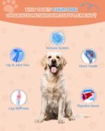 Collagen for Dogs - Grass Fed Dog Collagen Drops - Joint Supplements - Dog Skin and Coat Supplement - Support Digestion & Gut Health - with MSM, Hyaluronic Acid, Biotin - Roast Chicken Flavor - Image 3