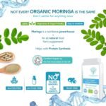 Pure Organic Moringa Oleifera 500mg 120 Capsules - no fillers or Flowing Agents - 100% Natural Soil Association Certified High Strength Superfood with All Essential Amino Acids - Image 5