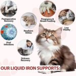 Liquid Iron Supplements for Cats, Cat Supplement with Vitamin C and B12, Supports Anemia, Promotes Blood Health, Helps with Formation of Red Blood Cell, Easy Digest and Absorbed, 60ML - Image 8