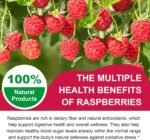 120ct Magnesium Glycinate Gummies,Raspberry Magnesium Gummy for Enhanced Focus, Restful Sleep, Balanced Blood Sugar (600mg Mg Glycinate) with VIT D3, B6 & Coq10 for Sleep Support,Relaxation - Image 4