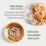 Sea Moss Capsules High Strength - Wildcrafted Irish Sea Moss Tablets - 30 Capsules One a Day - 2000mg Sea Moss Capsule - North Atlantic Seamoss Supplement - Vegan & UK Made - Image 5