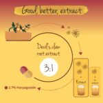 Vegavero Organic Devil’s Claw Capsules | 4,995 mg (3:1 Extract) Daily | 90 Capsules | NO Additives | Natural Joint Support | Harpagophytum with 2,7% Harpagoside | Vegan - Image 4
