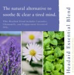 Absolute Aromas Headaid Aroma-Roll Roller Ball - Contains 100% Pure, Natural Essential Oils - Lavender, Peppermint & Chamomile - Instant Relief for Tense, Nervous heads - Image 3