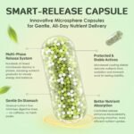 Thyroid Support for Women, Smart-Release Microsphere Capsules, with Iodine, Ashwagandha & 20B CFU Probiotics, for Energy, Metabolism & Gut Health, 120 Capsules - Image 3