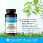 Water Balance Complex – 100 Capsules with Nettle, Horse Chestnut & Red Vine Leaf | Traditional Herbal Blend for Fluid Balance by BIOHERBA - Image 3