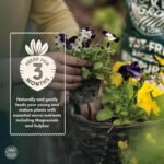 RocketGro - Container & Basket Compost Peat-Free Superior Blend - 40L - Organic Bio-active and N:P:K Rich - Added Organic Fertiliser Superfood - Image 5