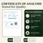 Reishi Mushroom Powder 15:1 Extract (60 servings) | Promotes Immune Health & Stress Support | 1 Serving Equals 15,000mg of Raw Mushroom | 30% Beta Glucans | Tested for Purity & Safety - Image 6