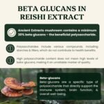 Reishi Mushroom Powder 15:1 Extract (60 servings) | Promotes Immune Health & Stress Support | 1 Serving Equals 15,000mg of Raw Mushroom | 30% Beta Glucans | Tested for Purity & Safety - Image 7