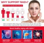 NAD Liquid Supplement, NAD Resveratrol Supplement for Women & Men,with Liposomal Nicotinamide Riboside,Quercetin, Support for Energy Boost & Anti Aging - Image 4