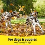 Vetzyme B Plus E Dog Vitamins and Supplements (200 Tablets) - With Zinc and Selenium, Supports Muscle Tone and Good Health - Image 4