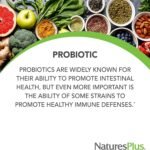 NaturesPlus Immune Microbiome 10 Billion CFU - Immune Support Probiotic Supplement -19 Strains, Prebiotics and Vitamin D3 - Vegan, Gluten Free - 30 Capsules - Image 5