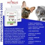 Probiotics For Dogs & Cats - 120 Tablets 2 Billion CFU - For Pets - with Prebiotics & Digestive Enzymes - Chicken Flavour - Gut Bacteria Health - Digestion Support - Image 4