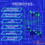 Probiotics For Dogs & Cats - 120 Tablets 2 Billion CFU - For Pets - with Prebiotics & Digestive Enzymes - Chicken Flavour - Gut Bacteria Health - Digestion Support - Image 5