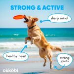 Wild Salmon Oil for Dogs & Cats - Omega 3 Fish Oil for Dogs with EPA & DHA supplements for Skin & Coat, Dandruff, Heart & Immune System, Joint and Brain Support - 250 ml - Image 8