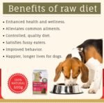 Vegetable, Seed & Fruit Mix (500g) A natural meal booster rich in prebiotics, minerals, vitamins & nutrients - Improve your dog's raw or home prepared meal by adding SmartBarf - 2 Pouches - Image 4