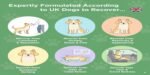 Calming Treats for Dogs – Soft Peanut Butter Chews (360g) | Reduces Anxiety, Stress & Barking | Non-Hemp, Natural Ingredients – Promotes Relaxation - Image 4
