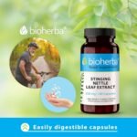 Stinging Nettle Leaf Extract 250 mg – 100 Capsules | Traditional Herbal Supplement for Water Balance and Daily Wellbeing - Image 6