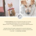 Vitamin B Complex for Dogs – 120 Tablets | 4-Month Supply – High-Dose B Vitamins for Dogs & Cats with B1, B2, B3, B5, B6, B9, B12, Vitamin K, L-Tryptophan & Selenium - Image 4