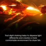 Water care Leaves, Effective Botanical Water care, Non Rot Water Botanical Leaf Supplement, Regulate acidity Botanical Water care, Longan Leaves Natural Water Conditioner for Aquarium - Image 4