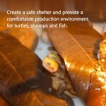 Water care Leaves, Effective Botanical Water care, Non Rot Water Botanical Leaf Supplement, Regulate acidity Botanical Water care, Longan Leaves Natural Water Conditioner for Aquarium - Image 5