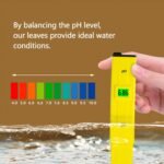 Water care Leaves, Effective Botanical Water care, Non Rot Water Botanical Leaf Supplement, Regulate acidity Botanical Water care, Longan Leaves Natural Water Conditioner for Aquarium - Image 6