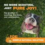 Pumpkin Powder for Dogs (260g) | Pumpkin Puree for Dogs | Fibre Supplement For Loose Stools Digestion, Weight Management & Immune Health | 100% Natural Ingredients | Poki Pet Care - Image 3