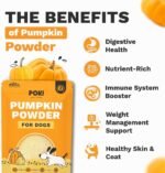 Pumpkin Powder for Dogs (260g) | Pumpkin Puree for Dogs | Fibre Supplement For Loose Stools Digestion, Weight Management & Immune Health | 100% Natural Ingredients | Poki Pet Care - Image 4