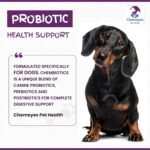 Triple-Action Probiotics for Dogs with Prebiotics & Postbiotics (150g) - Dog Powder Supplement for Upset Tummies, Bloating, Itchy skin, Bad Breath, Healthy Digestion by Chemeyes - All Breeds & Ages - Image 3