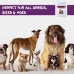 Triple-Action Probiotics for Dogs with Prebiotics & Postbiotics (150g) - Dog Powder Supplement for Upset Tummies, Bloating, Itchy skin, Bad Breath, Healthy Digestion by Chemeyes - All Breeds & Ages - Image 5