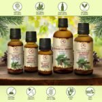 Fir Needle Essential Oil 100ml - Abies Sibirica - 100% Pure & Natural - Used for Stress Relief - Calming - Freshen Rooms - Home Fragrances - Fresh Aroma - Fir Essential Oils - Image 5