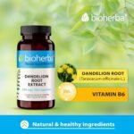Dandelion Root 350 mg – 100 Capsules | Traditional Herbal Supplement for Liver Function & Water Balance - Image 4