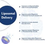 Liposomal Magnesium 2000mg High Strength - Magnesium Supplement with Vitamin D3 & K2 Non-GMO Gluten Free - Image 4