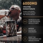 The Creatine - DY Nutrition (Cherry) - Image 4