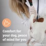 Omni Anal Glands Dog Supplements - Dragons’ Den Winners, One-a-Day Supplement, Psyllium Husk & Apple Pectin - Daily Chew Dog Treat for Full, Blocked, Odorous Glands, 30 Servings, Small 0-15 Kg - Image 5