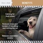 Chew + Heal Labs Calming Chews for Dogs - 30 Peanut Butter Melatonin Dog Sleep Aid & Calming Dog Treats with Thiamine, L-Tryptophan & Ginger - Image 5