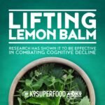 Senior Calm-K9 | 5x100g Multipack | Calming Supplement for Dogs | Helps with Anxiety Relief, Fireworks, Stress & Barking | Natural Ingredients | Mix with Dog or Puppy Food | For Senior Dogs - Image 6