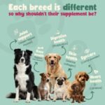 YEARS French Bulldog Probiotic Breed Specific Supplement for Dogs Joint Care Digestion Immune Support and Healthy Coat - 28g - Image 6