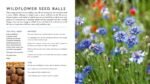 The Hedgerow Apothecary's Field Guide to Wildflowers: Recipes, Remedies and Folklore - Image 5