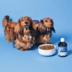 Pooch & Mutt - Natural Salmon Oil Supplement for Dogs and Cats (Rich in Omega 3, 6 and 9), 500ml - Image 5