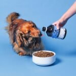 Pooch & Mutt - Natural Salmon Oil Supplement for Dogs and Cats (Rich in Omega 3, 6 and 9), 500ml - Image 6