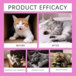Calm Down Cat Drops - 60ml Daily Nutrition Edible Liquid, Supports Relaxation and Well Being for Cats, Suitable for Walking, Travel, Training, Camping, Hiking, Small, Medium, and Large Breeds - Image 7