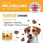 Bugalugs Dog Chews with Pumpkin Powder For Dogs - Natural Dog Treats with Pumpkin Puree. Grain free dog treats rich in Prebiotics & Fibre for dogs helps Digestion, Scooting + Gut Health - 120 chews - Image 4