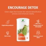 Nature’s Finest by Nutrisslim Bio Chlorella Powder – 100% Organic, Raw & Vegan Superfood – Natural Source of Chlorophyll, Iron & Protein for Immune Support & Detox (125g, 30-Day Supply) - Image 3