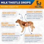 Milk Thistle for Dogs & Cats – Liver Support for Dogs & Cats – Kidney Support – 2Oz - Image 5