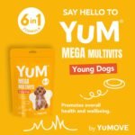 YuM Young Mega MultiVits Dog Vitamins, 6-in-1 Daily Vitamins and Supplements for Joints, Gut Health, and Brain Development, Aged 1+, 30 Multivitamin Chews - Image 3